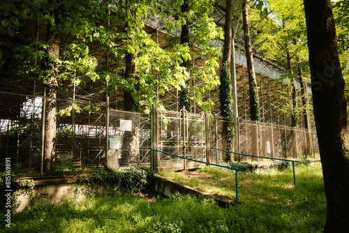 Nature's Reclamation: Capturing the Beauty of a Deteriorating Forested Grandstand
