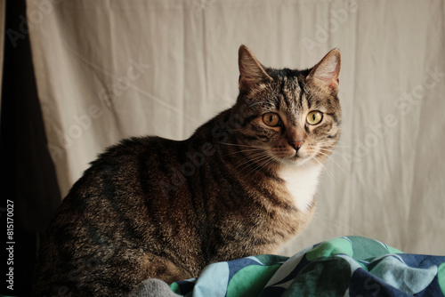 A Portrait of Cuteness and Charm