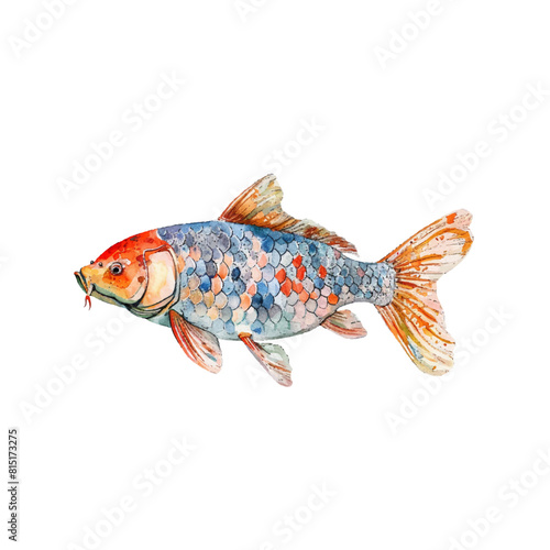 carp fish vector illustration in watercolor style