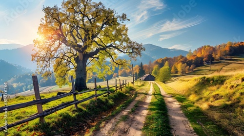 Marvelous autumn scene of big beerch tree and old country road to Kolochava village. Sunny morning scene of Carpathian mountains  Ukraine  Europe. Beauty of nature concept background