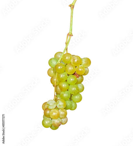 bunch of fresh grapes isolated on white