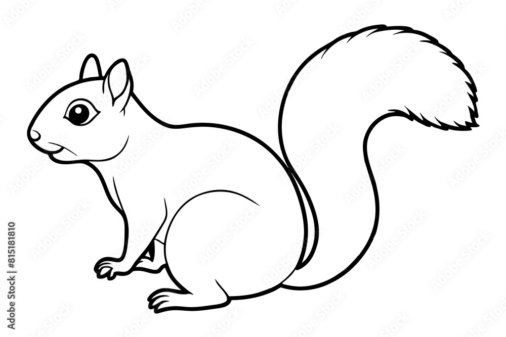 squirrel line art silhouette illustration squirrel line art silhouette illustration