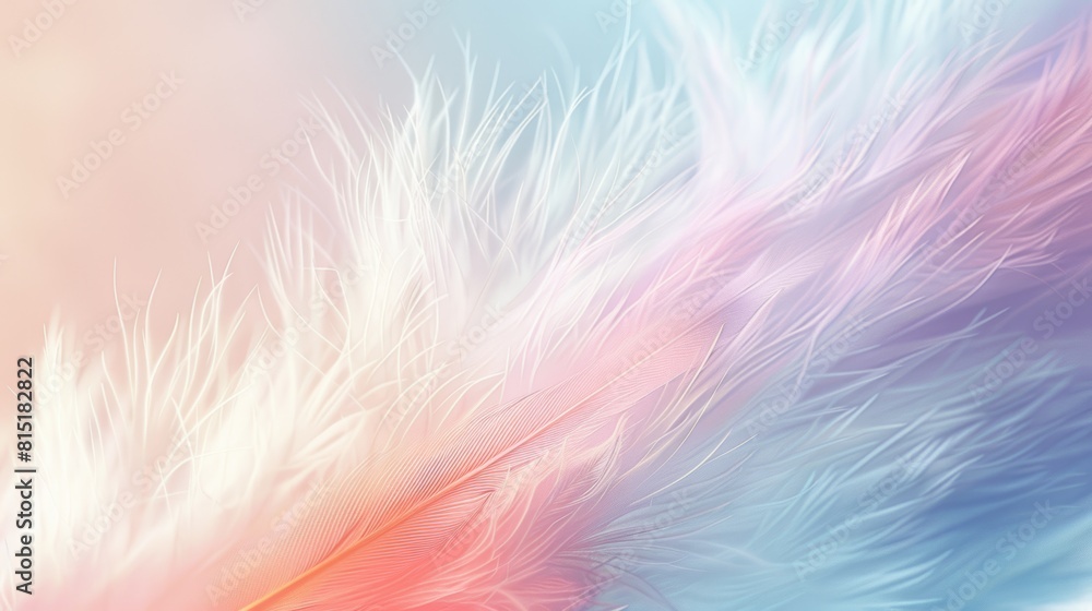 fondo abstracto. pluma sobre fondo con luz, arcoíris fondo abstracto. pluma sobre fondo con luz, arcoíris