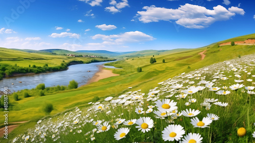 Meadow with daisies and mountains