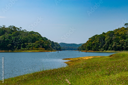 A landscape with a lake and forest background. Forest of Periyar tiger tiger reserve, Thekkady, Kerala, India photo