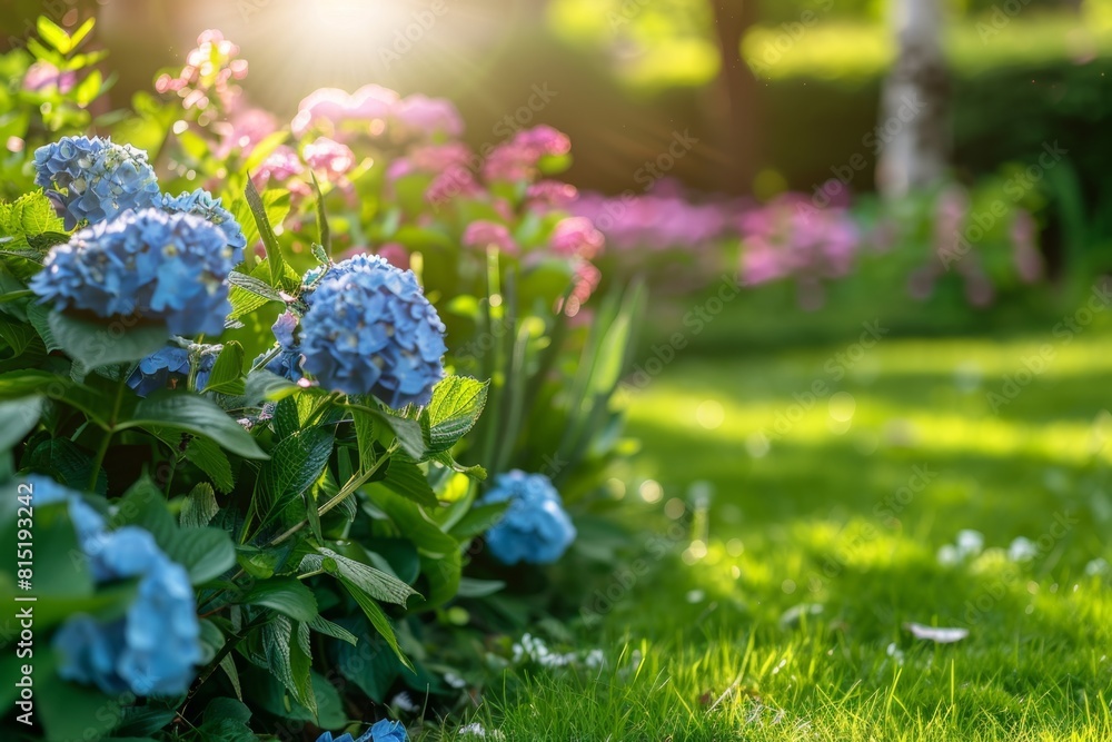 Beautiful home garden with hydrangeas, sage and other plants in the sunlight Garden design concept. Backyard landscape background Generative AI Beautiful home garden with hydrangeas, sage and other plants in the sunlight Garden design concept. Backyard landscape background Generative AI
