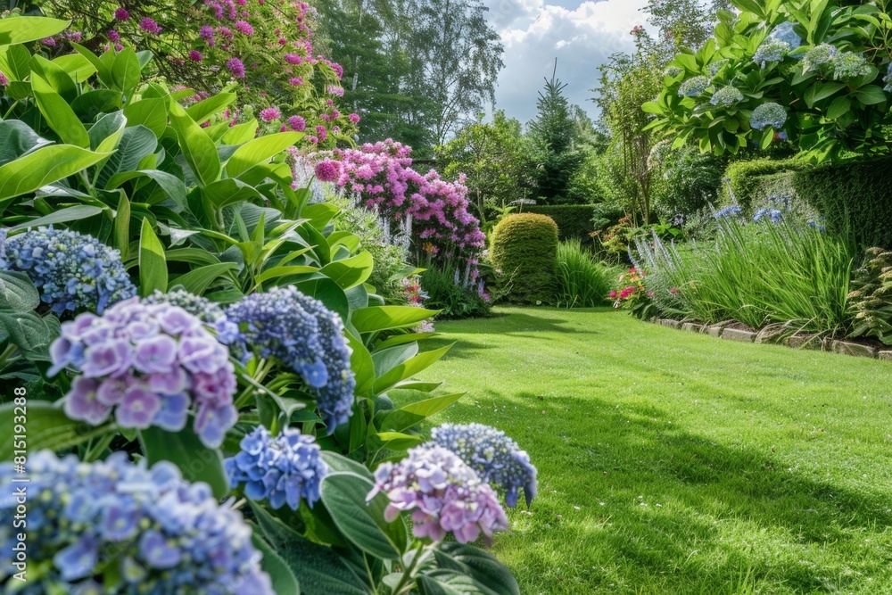 Obraz premium A lush, well-maintained garden with hydrangeas and sage plants in the foreground, surrounded by green grass under bright sunlight Generative AI