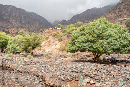 Dry Valley created by a black volcanic rock near the Grand Bara Desert in Djibouti, Horn of Africa, East Africa