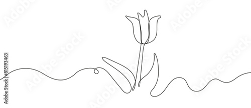 Abstract and minimalist, this vector illustration features a single continuous line drawing of a tulip flower.