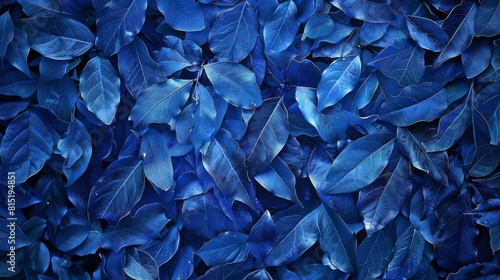 blue wallpaper, abstract background