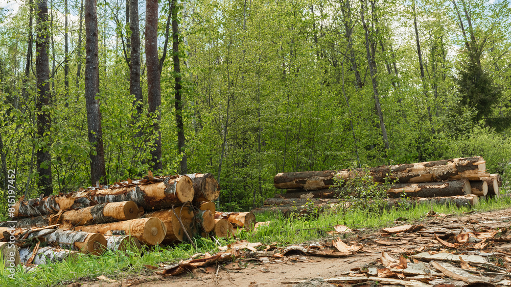 Logging. Heaps of logs near a sandy forest road. There is a lot of tree bark and wood chips lying on the road. Mixed forest on a cloudy spring day Logging. Heaps of logs near a sandy forest road. There is a lot of tree bark and wood chips lying on the road. Mixed forest on a cloudy spring day