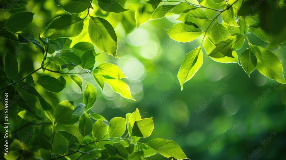 Experience the vibrant beauty of green leaves in a summer garden where lush foliage serves as a refreshing spring backdrop embodying the essence of nature ecology and green living Experience the vibrant beauty of green leaves in a summer garden where lush foliage serves as a refreshing spring backdrop embodying the essence of nature ecology and green living