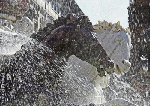 i cavalli della fontana del Nettuno in Piazza della Signoria a Firenze photo