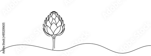 Vector isolated one artichoke flower colorless black and white contour line drawing