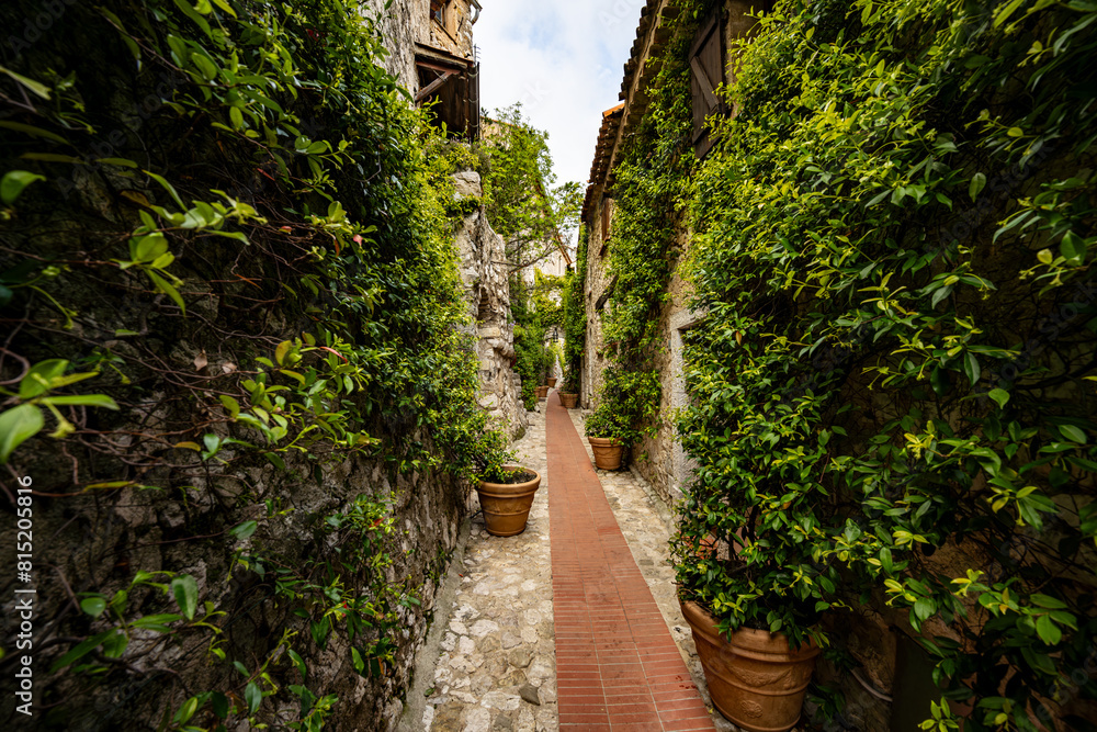 Fototapeta premium A nice alley in the old Eze