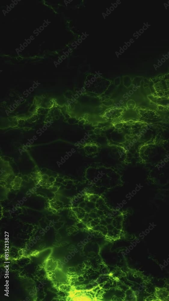 Space Universe With Stars And Galaxies Moving vertical video Space Universe With Stars And Galaxies Moving vertical video