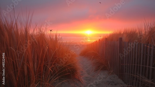 Captivating Sunset View Through Dune Grasses at Beach with Wooden Fences and Gentle Waves
