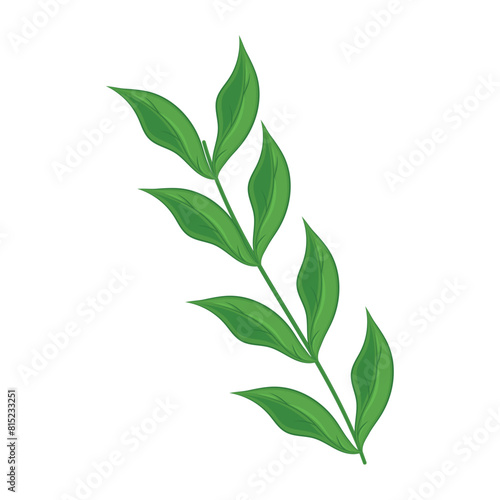 Realistic detailed branch of leaves Vector illustration
