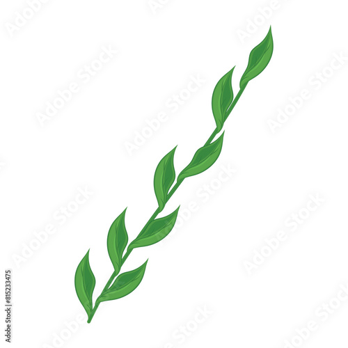 Realistic detailed branch of leaves Vector illustration