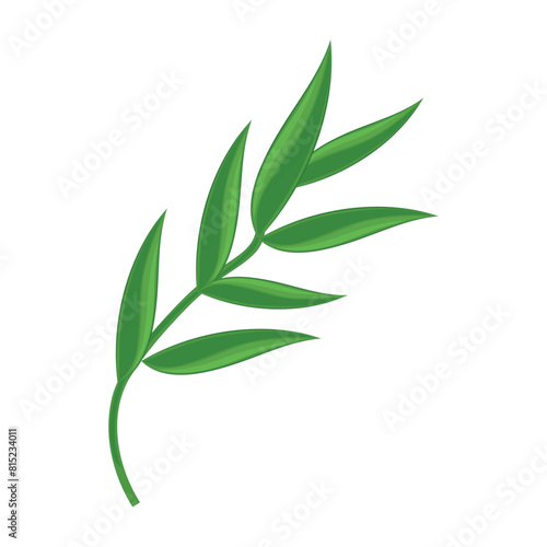 Realistic detailed branch of leaves Vector illustration
