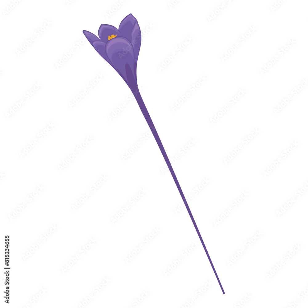 Realistic detailed flower Vector illustration Realistic detailed flower Vector illustration