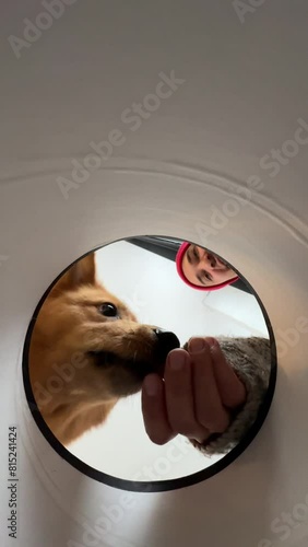 Wallpaper Mural Visible from beneath through a circular hole in the box is a family couple with their dog. Torontodigital.ca
