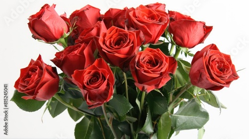 A bouquet of red roses set against a backdrop of white