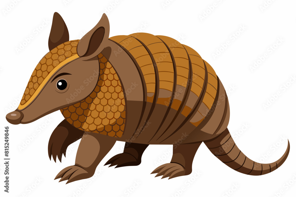 armadillo cartoon vector illustration armadillo cartoon vector illustration