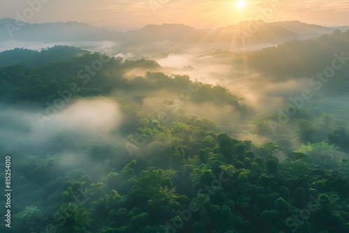 Beautiful green mountain landscape with morning sunrise sky and fog. Aerial view of green trees in tropical mountain forests and fog in winter. Nature scene of trees. Green environment background