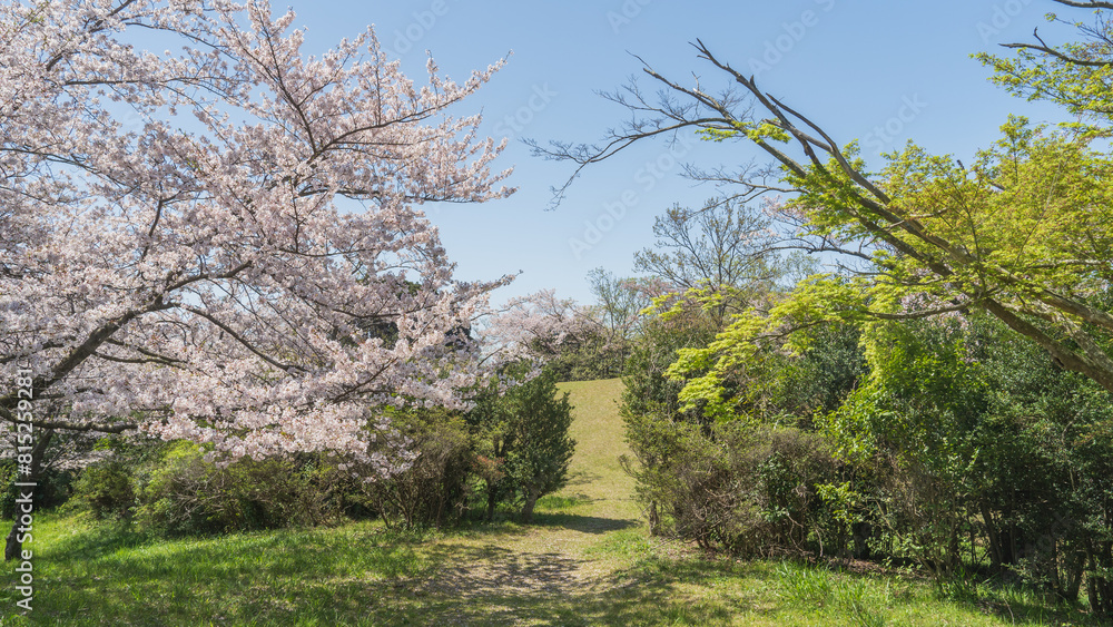 日本の風景・千葉県｜桜の咲く大覚寺山古墳・生浜公園