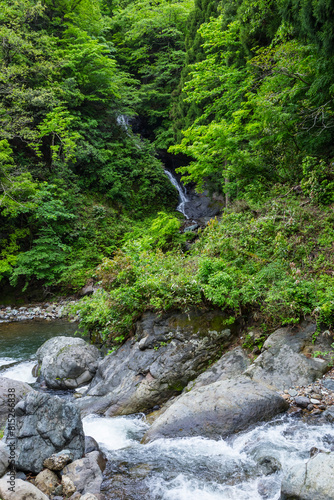 春の姫翠峡の風景 鳥取県 小耶馬渓