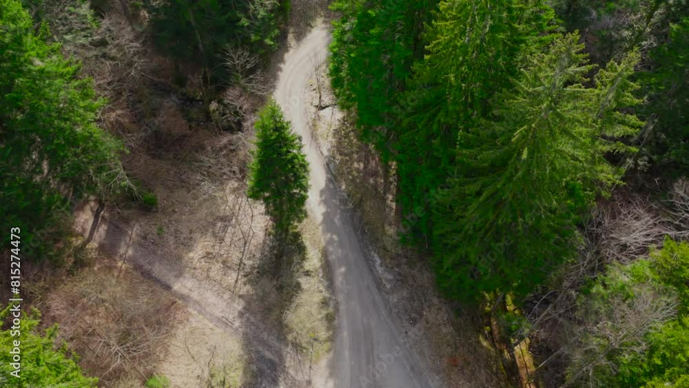 Aerial view of bicyclist riding on dirt road in mountains in coniferous forest with tall trees in sunny weather. Drone shot of cyclist traveling on unpaved road in hills in pine woods with high trees Aerial view of bicyclist riding on dirt road in mountains in coniferous forest with tall trees in sunny weather. Drone shot of cyclist traveling on unpaved road in hills in pine woods with high trees