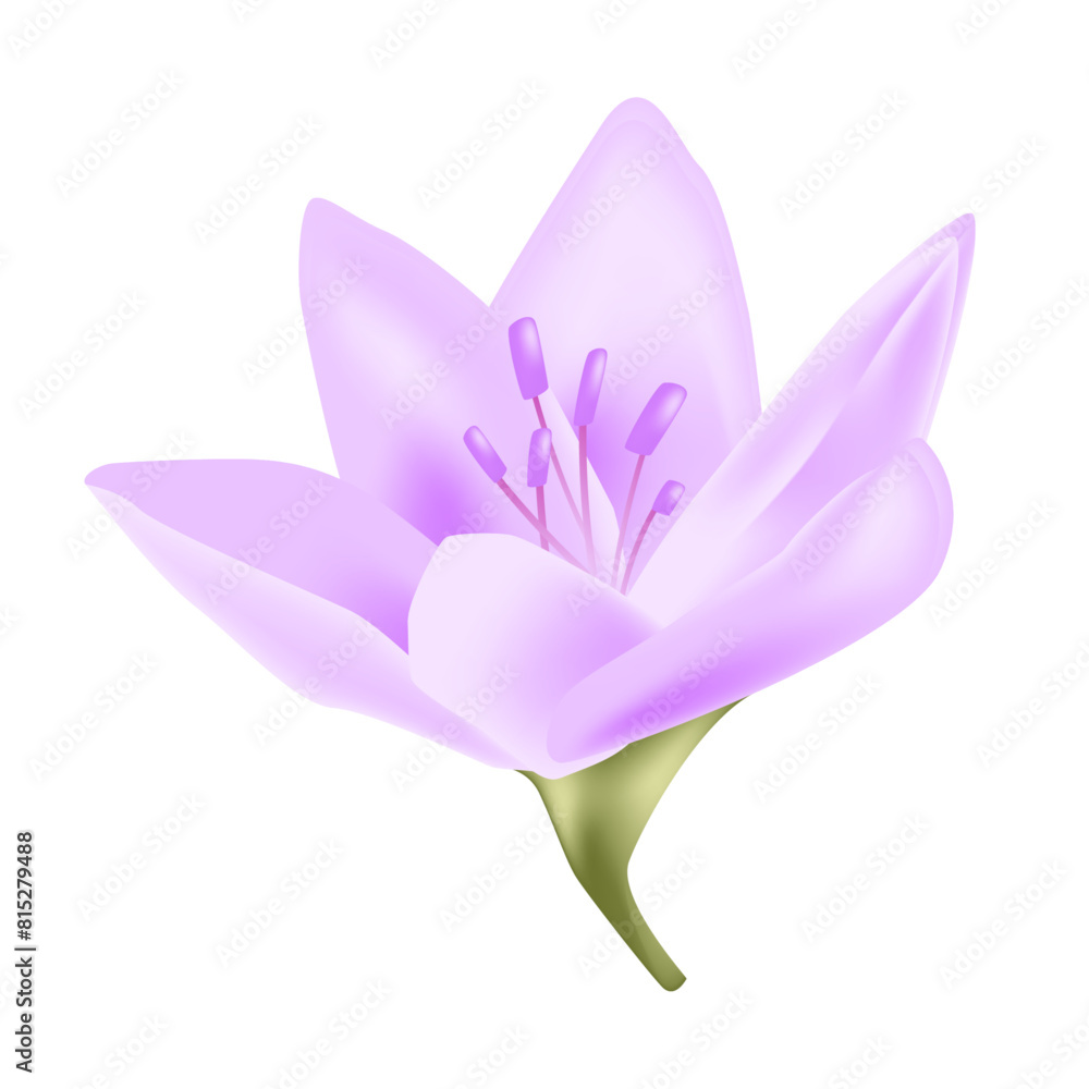 flower isolated on white background Realistic