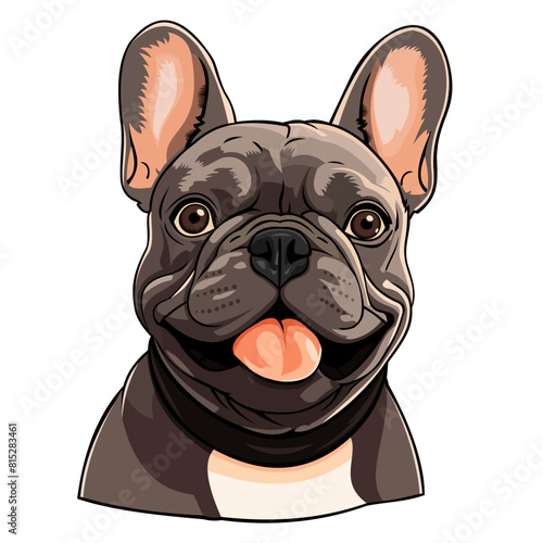 Pug Dog Vector Illustration on White Background