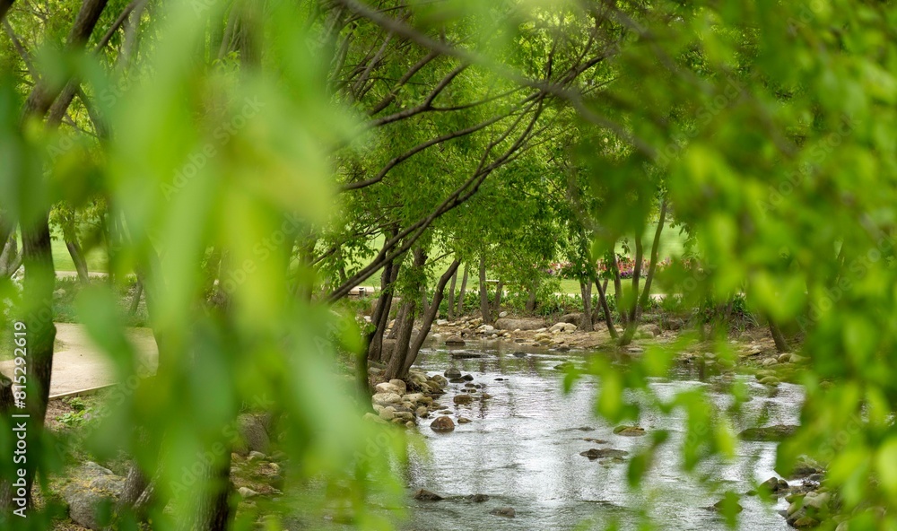 신록이 아름다운 순천만국가정원의 5월