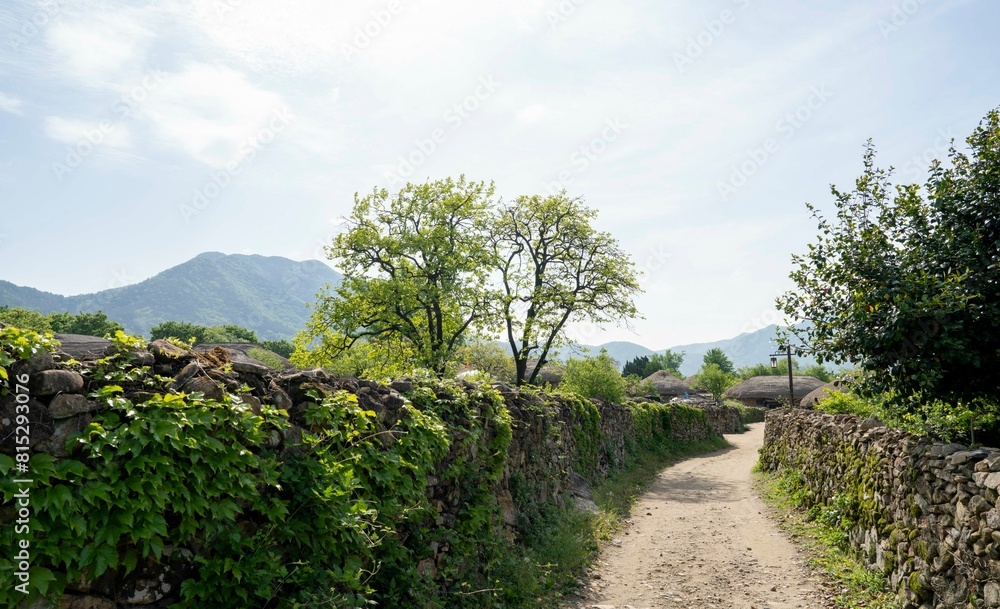 Obraz premium 연두색 감 잎이 아름다운 순천낙안민속마을의 5월 풍경