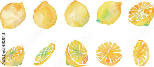 水彩画。水彩タッチのレモンベクターイラスト。夏の水彩レモンイラスト。爽やかな夏のレモン柄。Watercolor painting. Lemon vector illustration with watercolor touch. Summer watercolor lemon illustration. Refreshing summer lemon pattern.