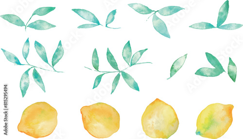 水彩画。水彩タッチのレモンベクターイラスト。夏の水彩レモンイラスト。爽やかな夏のレモン柄。Watercolor painting. Lemon vector illustration with watercolor touch. Summer watercolor lemon illustration. Refreshing summer lemon pattern.