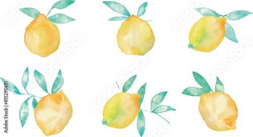 水彩画。水彩タッチのレモンベクターイラスト。夏の水彩レモンイラスト。爽やかな夏のレモン柄。Watercolor painting. Lemon vector illustration with watercolor touch. Summer watercolor lemon illustration. Refreshing summer lemon pattern.