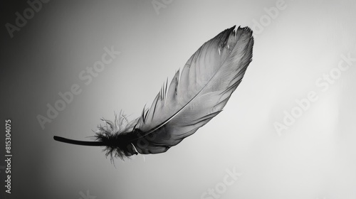 Black and white photo of a feather floating in the air. photo