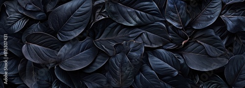 Textures of abstract black leaves for tropical leaf background. Flat lay  dark nature concept  tropical leaf  digital ai