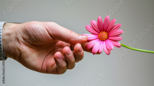 A hand holding out a pink flower, representing gestures of kindness, care, and appreciation in a simple yet powerful image.