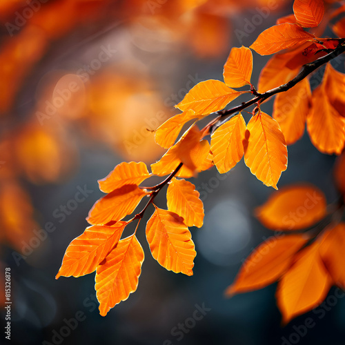 closeup of leaves on a branch in autumn autumn background generate ai