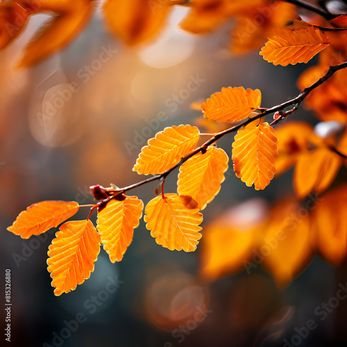 closeup of leaves on a branch in autumn autumn background generate ai