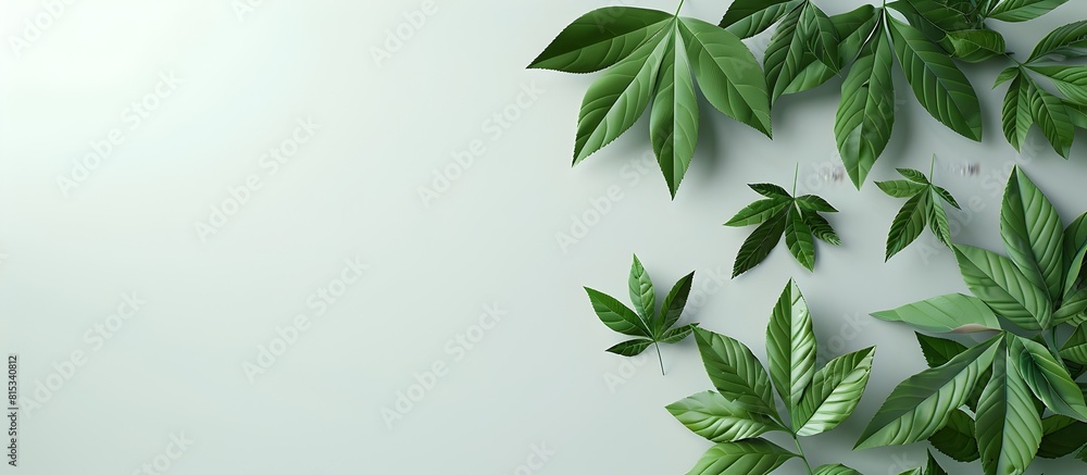 Vibrant Japanese Herbs on Plain Background with Ample Copy Space for Text and Minimalist Natural Aesthetic Vibrant Japanese Herbs on Plain Background with Ample Copy Space for Text and Minimalist Natural Aesthetic