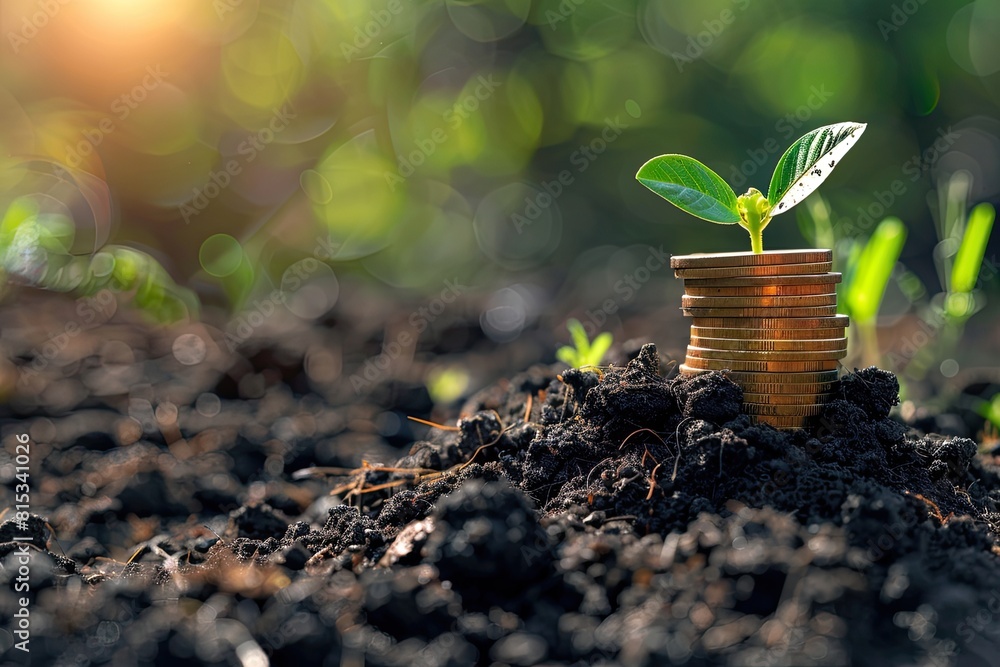 custom made wallpaper toronto digitalConceptual image of a young green plant sprouting from a stack of coins in fertile soil, symbolizing investment and growth.