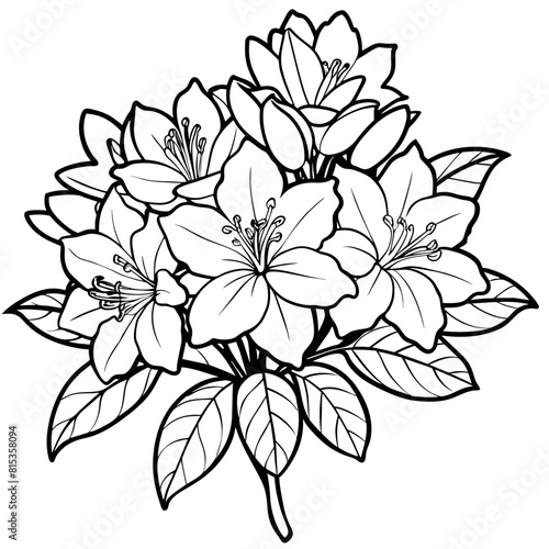 Azalea flower outline illustration coloring book page design  Azalea flower black and white line art drawing coloring book pages for children and adults 