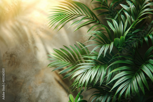 A lush green palm plant in the foreground  with sunlight filtering through its leaves and casting soft shadows on an aged stone wall behind it. Created with Ai 