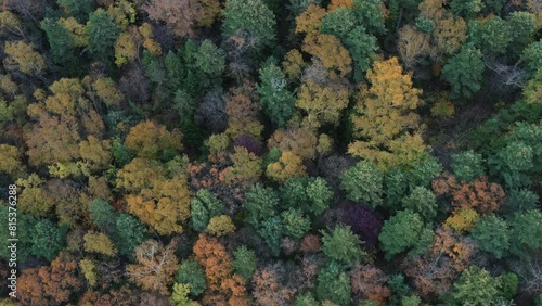 Aerial photography of Jingbo Lake Crater Forest Park, Mudanjiang City, Heilongjiang Province photo