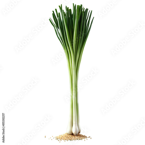 Green onions long slender white and green stalks chopped falling scattering sesame seeds drifting Food